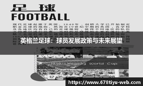 678体育官网